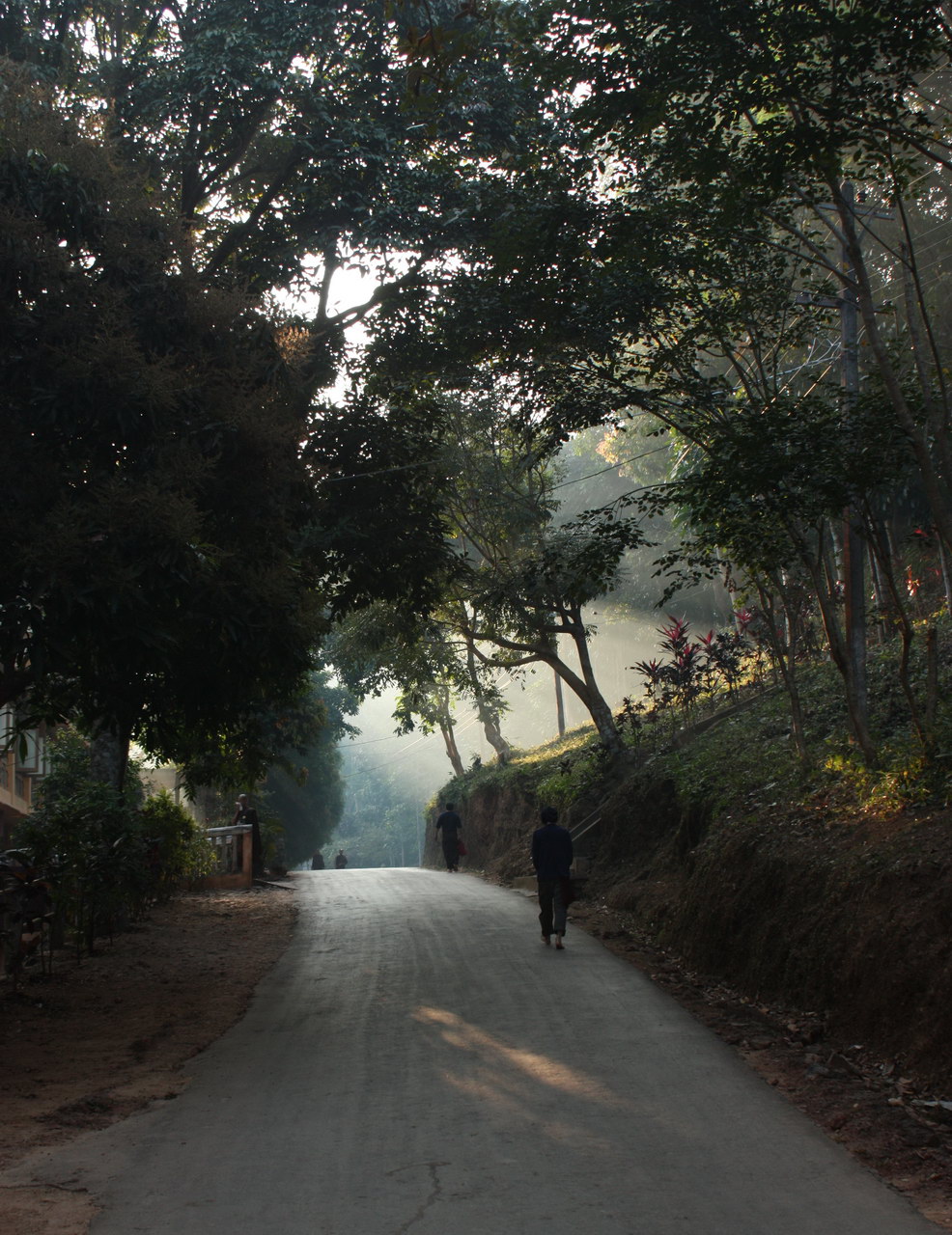 The Road Leading to the Meditation Hall